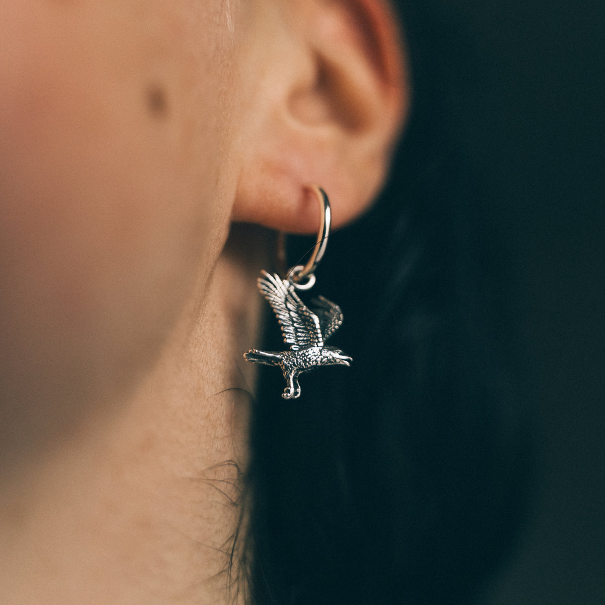 CORVUS - Sterling Silver Hoops