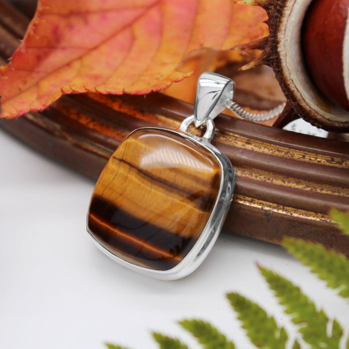 FALLEN LEAVES - Sterling Silver & Tigers Eye Necklace