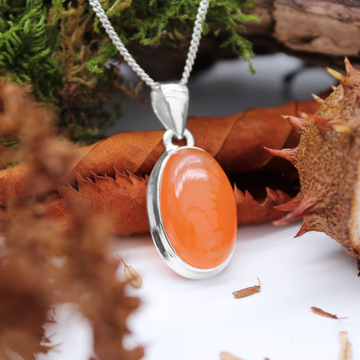 PUMPKIN PATCH - Sterling Silver & Carnelian Necklace