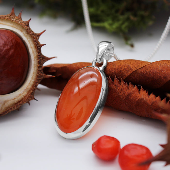 PUMPKIN PATCH - Sterling Silver & Carnelian Necklace