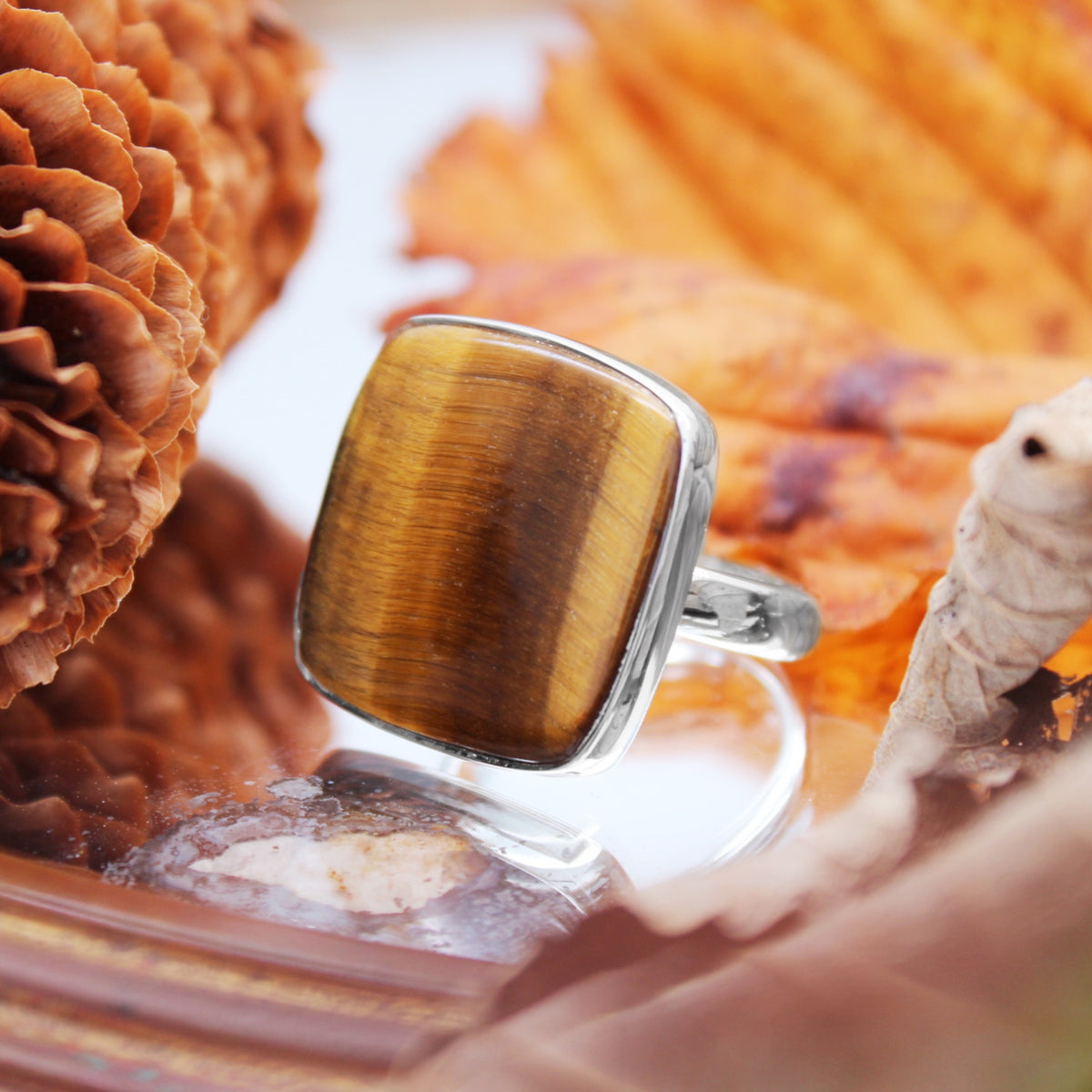 FALLEN LEAVES - Sterling Silver & Tigers Eye Ring - US 10